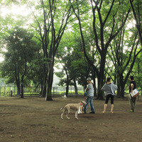 Thumb_koganei5-1