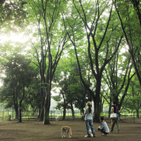 Thumb_koganei5-2