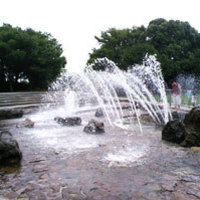 Thumb_p_006