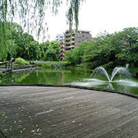Thumb_p_004
