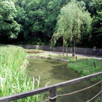 Thumb_p_003