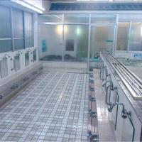 Thumb________________1