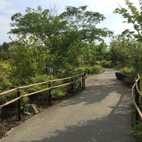 Thumb_img_1615