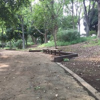 Thumb_img_1592