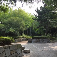 Thumb_img_1586