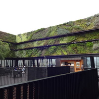 Thumb_dsc00215