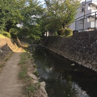Thumb_img_1723