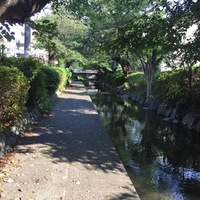 Thumb_img_1658