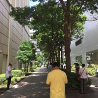 Thumb_img_1301