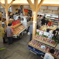 Thumb_dsc04099