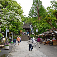 Thumb____________stroll3355_