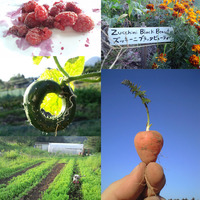 Thumb_our-farm.-all-pics.-400w.-